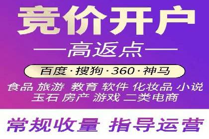 探究某某SEM公司如何通过精准投放实现销售增长